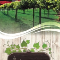 DuplinWinery-BroadsideBrochure